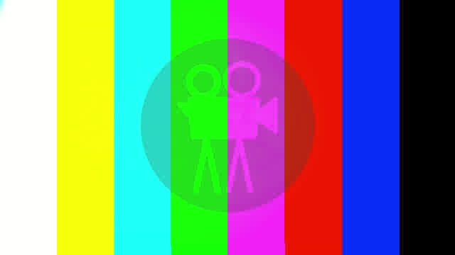 Mairie de Palaiseau - Conseil Municipal du 6 octobre 2025